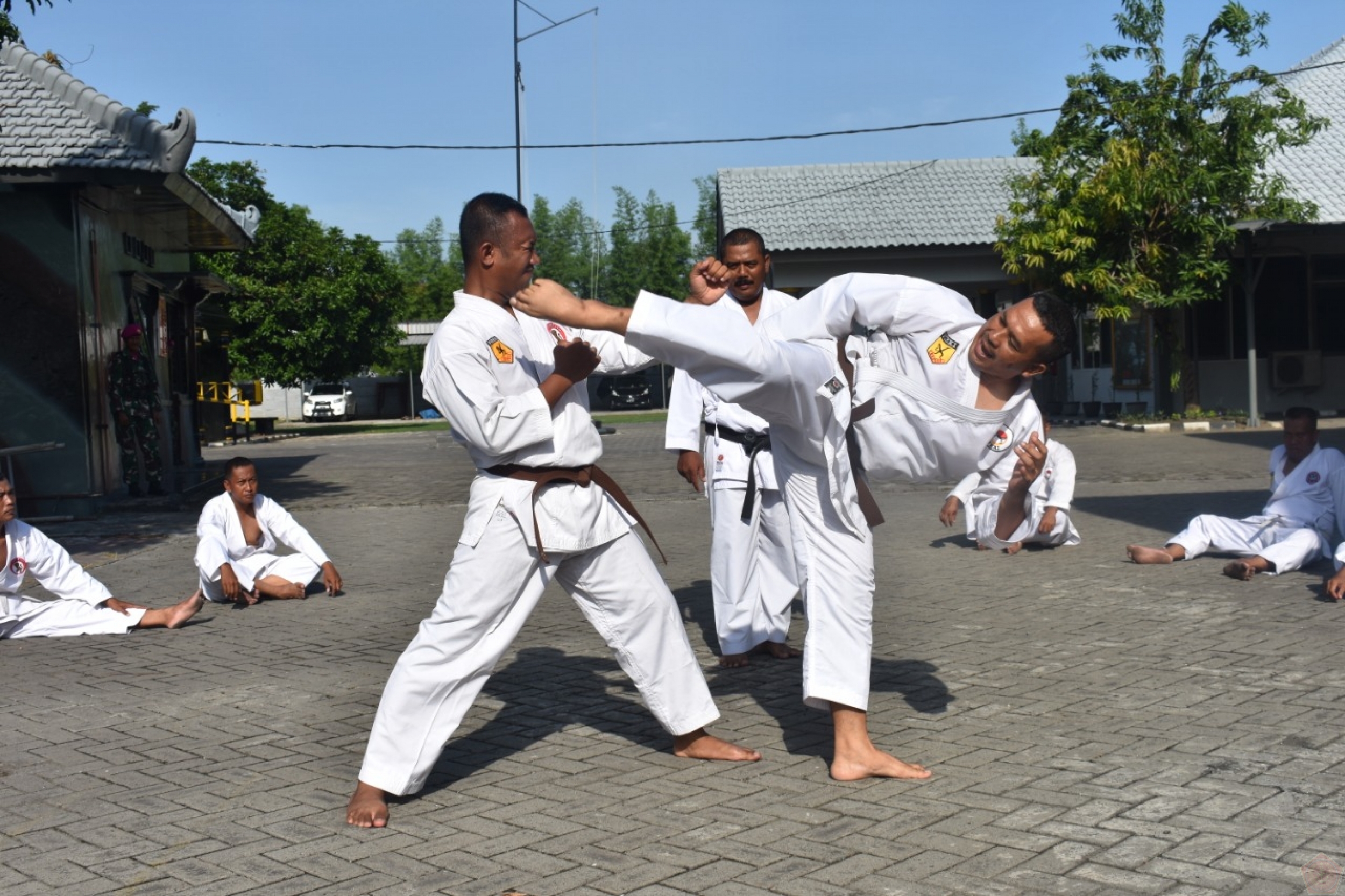 Bela Diri Karate